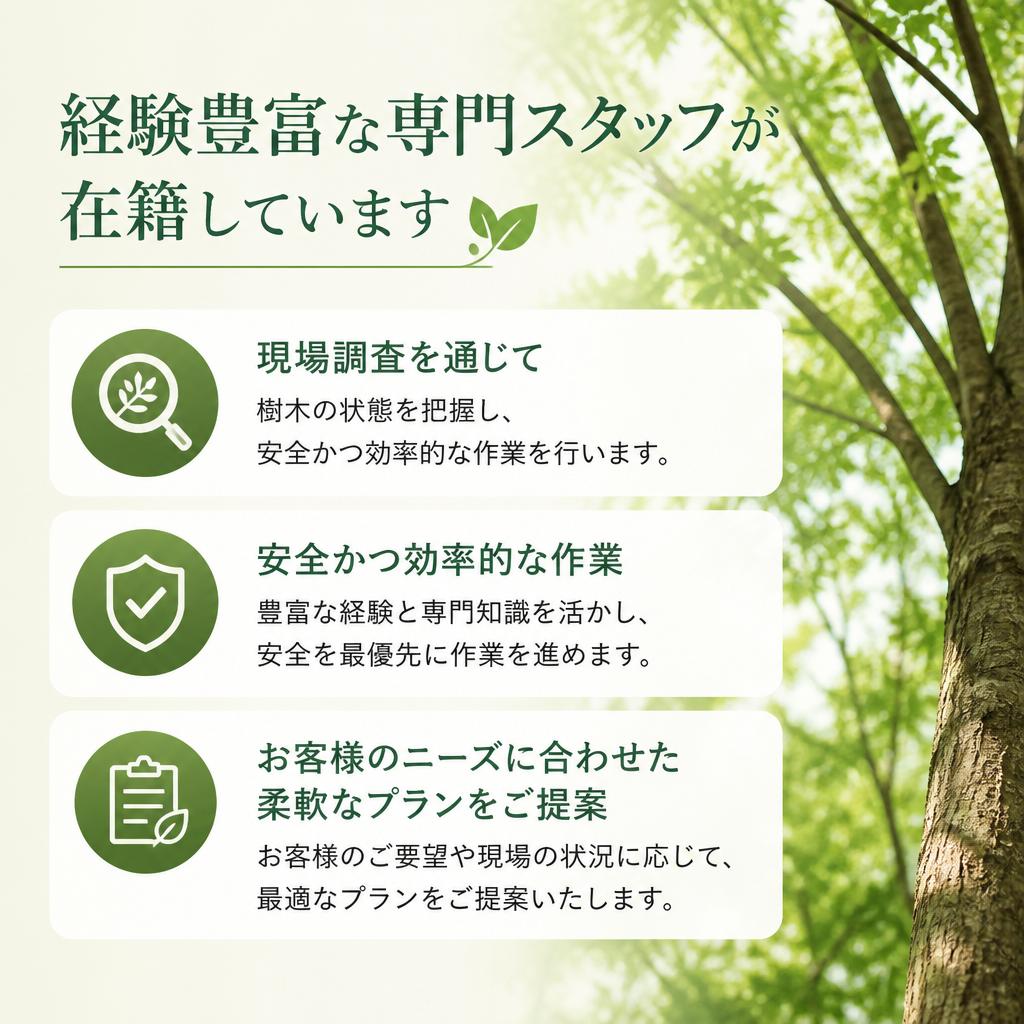 専門スタッフによる的確な対応