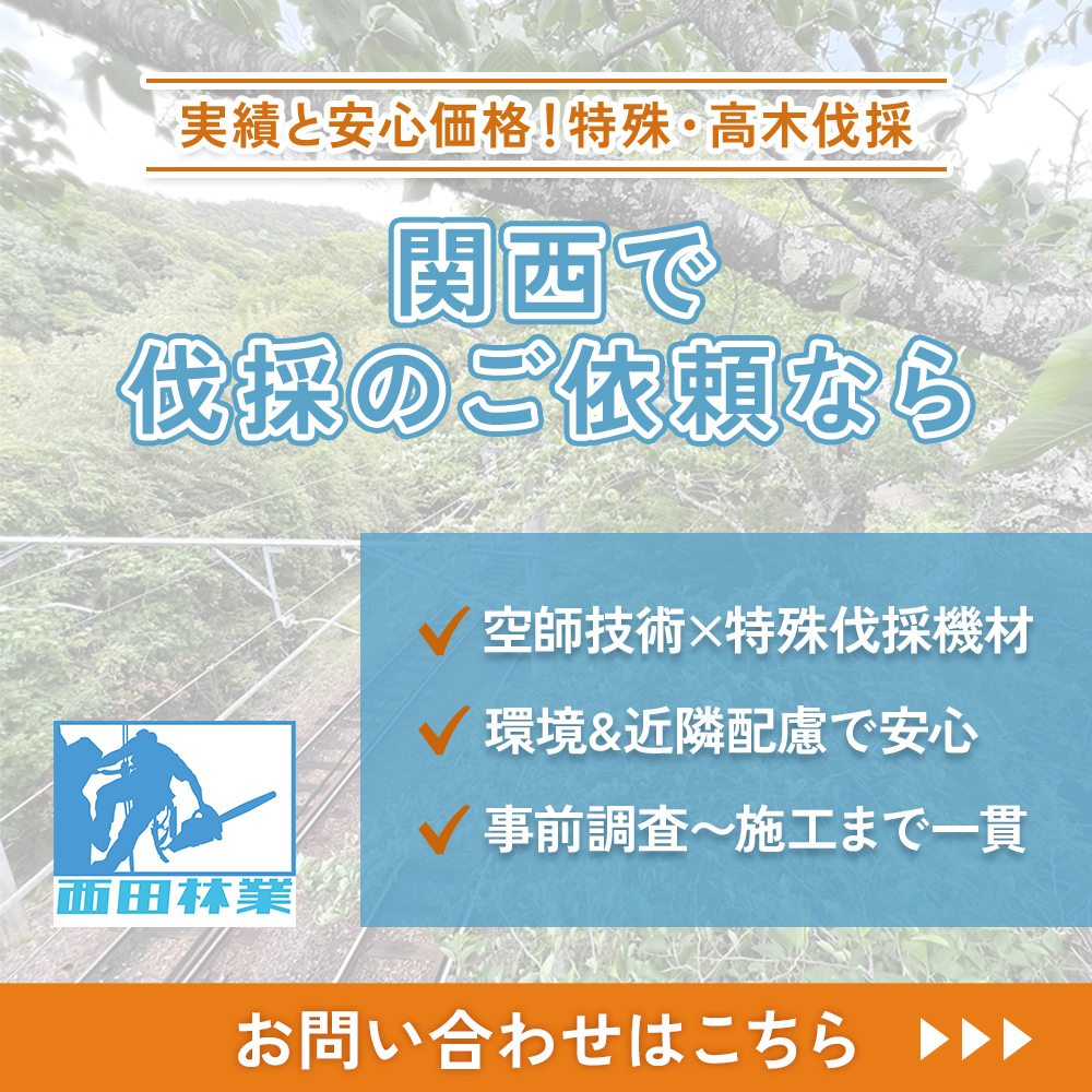modal_banner